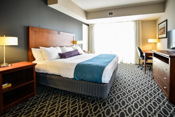 Bluemont Hotel image 3